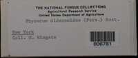 Image Associated With the Occurence